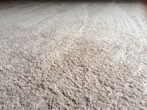 Plush Carpet Installation