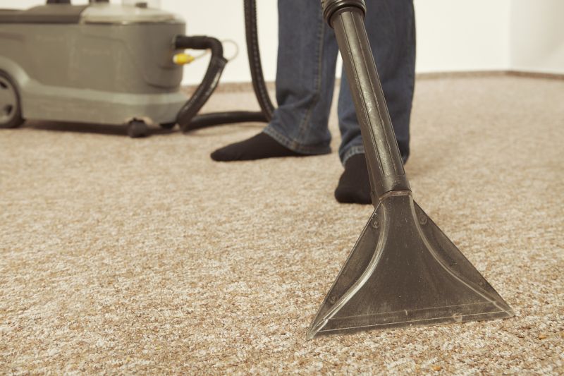 Optimal Timing for Carpet Cleaning
